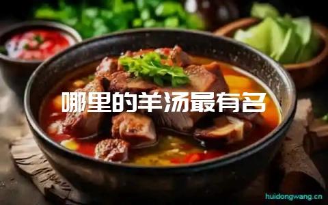 哪里的羊汤最有名-会东网