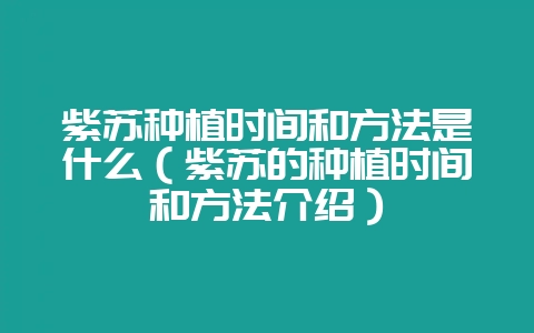 紫苏种植时间和方法是什么(紫苏的种植时间和方法介绍)-会东网