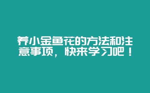 养小金鱼花的方法和注意事项，快来学习吧！-会东网