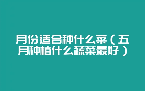 月份适合种什么菜（五月种植什么蔬菜最好）-会东网