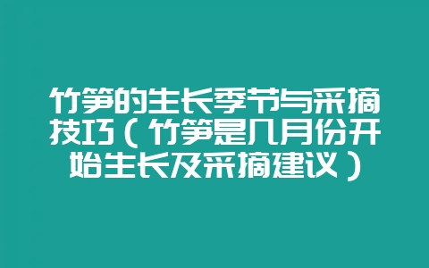 竹笋的生长季节与采摘技巧（竹笋是几月份开始生长及采摘建议）-会东网
