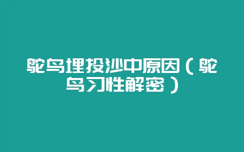 鸵鸟埋头沙中原因（鸵鸟习性解密）-会东网
