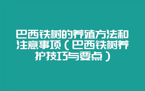 巴西铁树的养殖方法和注意事项（巴西铁树养护技巧与要点）-会东网
