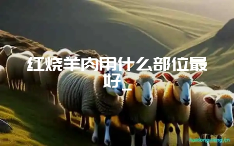 红烧羊肉用什么部位最好_-会东网