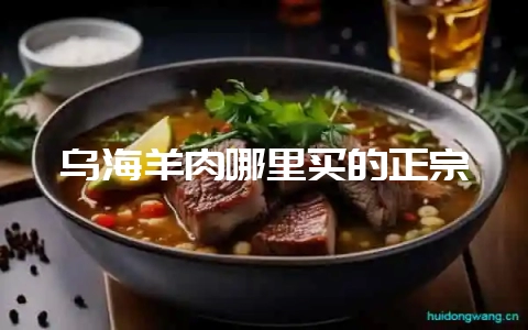 乌海羊肉哪里买的正宗-会东网