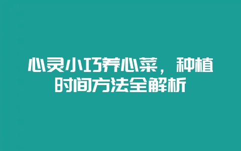心灵小巧养心菜，种植时间方法全解析-会东网
