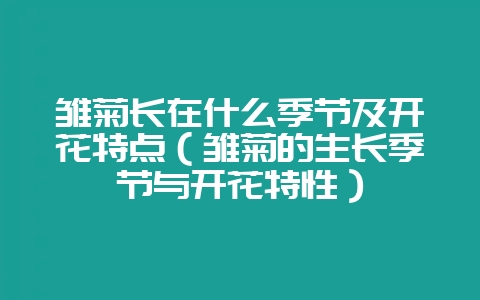 雏菊长在什么季节及开花特点(雏菊的生长季节与开花特性)-会东网