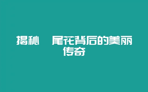揭秘鸢尾花背后的美丽传奇-会东网