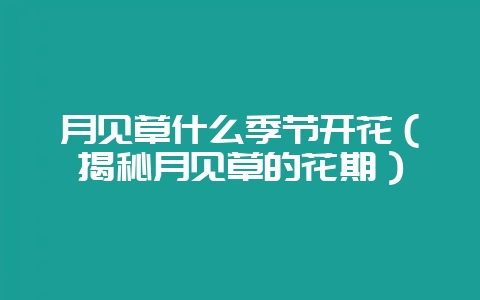 月见草什么季节开花（揭秘月见草的花期）-会东网