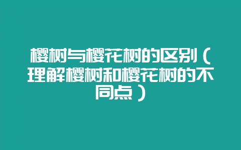 樱树与樱花树的区别(理解樱树和樱花树的不同点)插图 樱树与樱花树的区别(理解樱树和樱花树的不同点)插图
