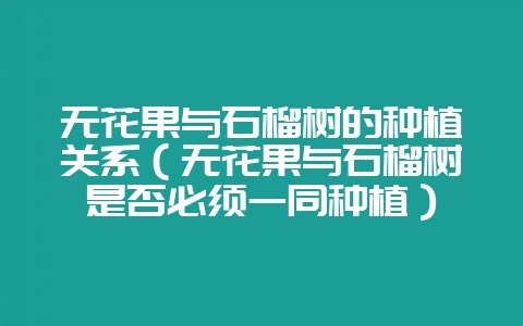 无花果与石榴树的种植关系（无花果与石榴树是否必须一同种植）-会东网