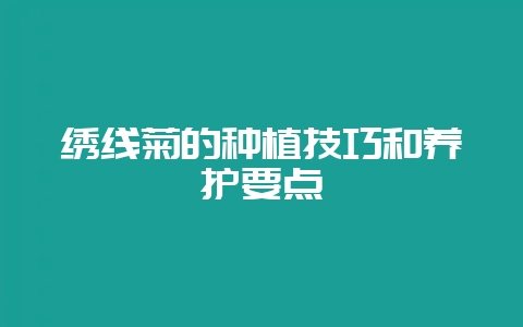 绣线菊的种植技巧和养护要点-会东网