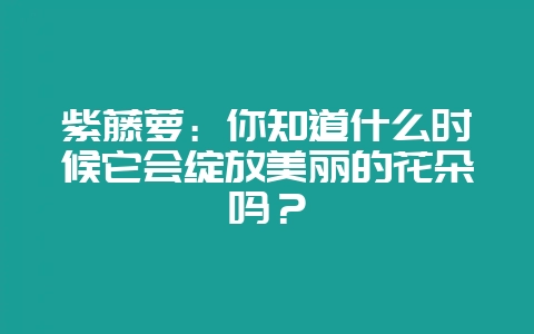 紫藤萝:你知道什么时候它会绽放美丽的花朵吗?-会东网