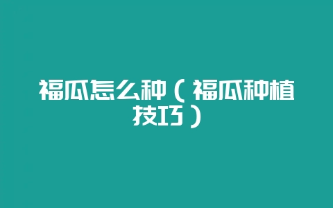 福瓜怎么种(福瓜种植技巧)-会东网