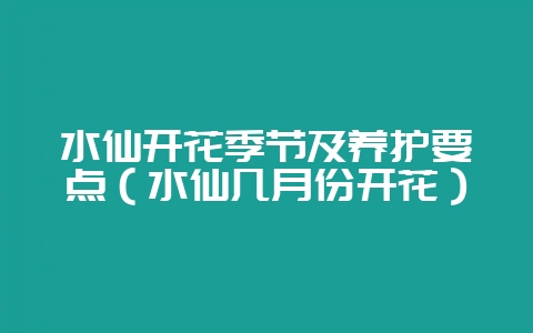 水仙开花季节及养护要点(水仙几月份开花)-会东网