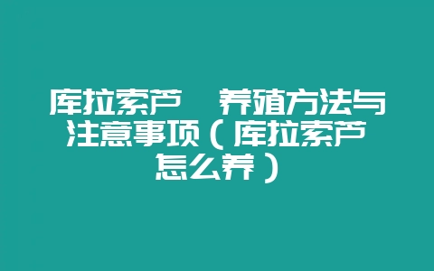 库拉索芦荟养殖方法与注意事项(库拉索芦荟怎么养)-会东网