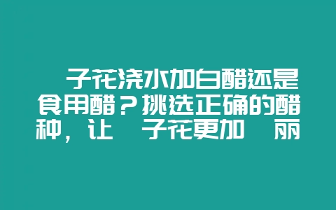 栀子花浇水加白醋还是食用醋?挑选正确的醋种,让栀子花更加绚丽盛开-会东网
