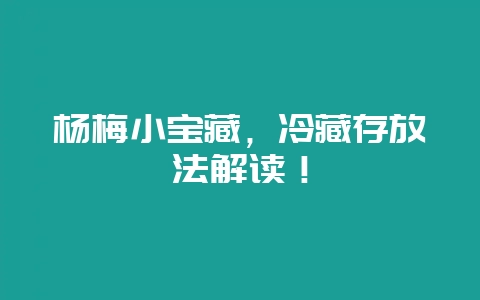 杨梅小宝藏，冷藏存放法解读！-会东网