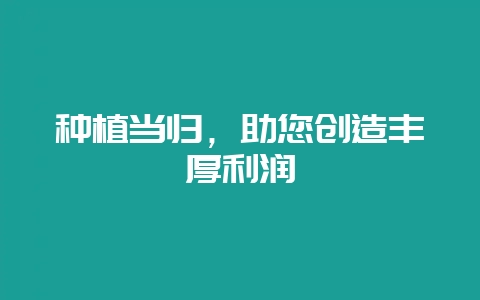种植当归，助您创造丰厚利润-会东网