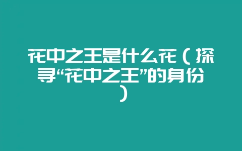 花中之王是什么花(探寻“花中之王”的身份)-会东网