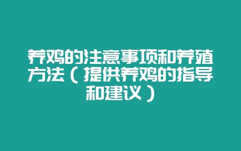 养鸡的注意事项和养殖方法(提供养鸡的指导和建议)插图 养鸡的注意事项和养殖方法(提供养鸡的指导和建议)插图