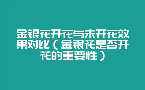 金银花开花与未开花效果对比（金银花是否开花的重要性）-会东网