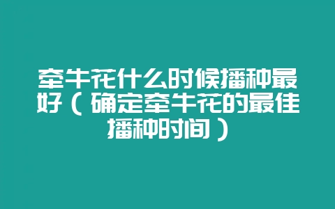 牵牛花什么时候播种最好（确定牵牛花的最佳播种时间）-会东网