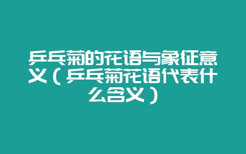 乒乓菊的花语与象征意义（乒乓菊花语代表什么含义）-会东网