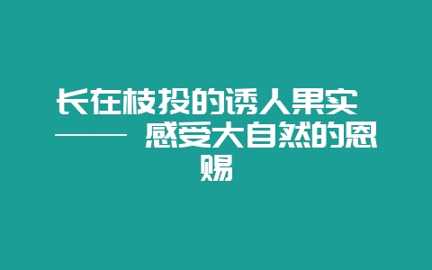 长在枝头的诱人果实 —— 感受大自然的恩赐-会东网
