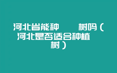 河北省能种枇杷树吗(河北是否适合种植枇杷树)-会东网