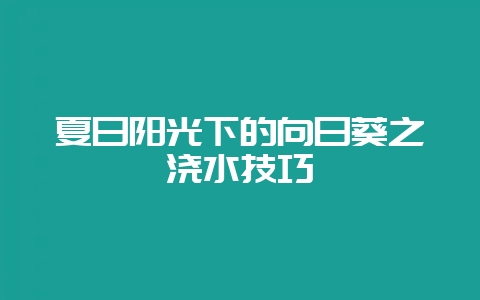 夏日阳光下的向日葵之浇水技巧-会东网