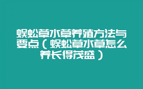 蜈蚣草水草养殖方法与要点(蜈蚣草水草怎么养长得茂盛)-会东网