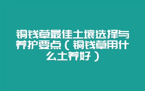 铜钱草最佳土壤选择与养护要点（铜钱草用什么土养好）-会东网