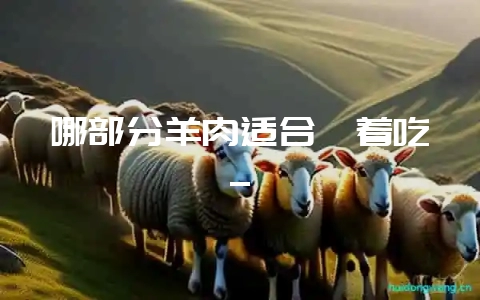 哪部分羊肉适合炖着吃_插图 哪部分羊肉适合炖着吃_插图