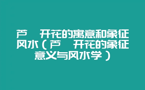 芦荟开花的寓意和象征风水(芦荟开花的象征意义与风水学)-会东网
