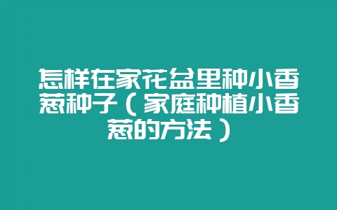 怎样在家花盆里种小香葱种子(家庭种植小香葱的方法)-会东网