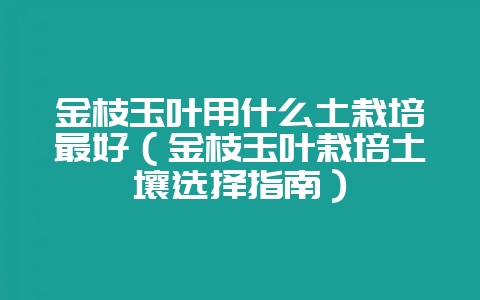 金枝玉叶用什么土栽培最好（金枝玉叶栽培土壤选择指南）-会东网
