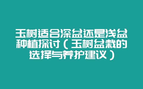 玉树适合深盆还是浅盆种植探讨（玉树盆栽的选择与养护建议）-会东网