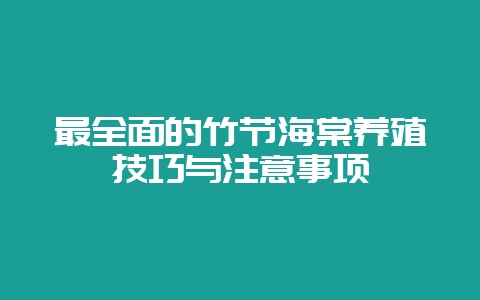 最全面的竹节海棠养殖技巧与注意事项-会东网