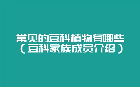 常见的豆科植物有哪些（豆科家族成员介绍）-会东网