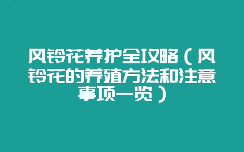 风铃花养护全攻略(风铃花的养殖方法和注意事项一览)插图 风铃花养护全攻略(风铃花的养殖方法和注意事项一览)插图