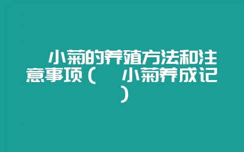 姬小菊的养殖方法和注意事项（姬小菊养成记）-会东网