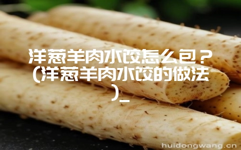 洋葱羊肉水饺怎么包?(洋葱羊肉水饺的做法)_插图 洋葱羊肉水饺怎么包?(洋葱羊肉水饺的做法)_插图