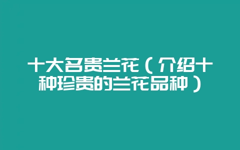十大名贵兰花（介绍十种珍贵的兰花品种）-会东网