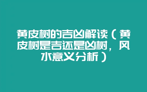 黄皮树的吉凶解读（黄皮树是吉还是凶树，风水意义分析）-会东网