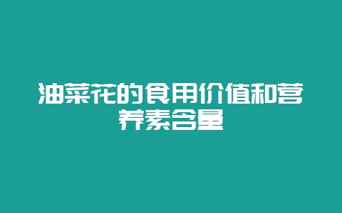 油菜花的食用价值和营养素含量-会东网