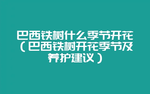巴西铁树什么季节开花(巴西铁树开花季节及养护建议)-会东网