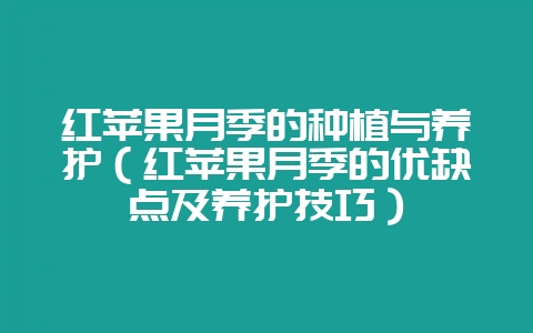红苹果月季的种植与养护（红苹果月季的优缺点及养护技巧）-会东网