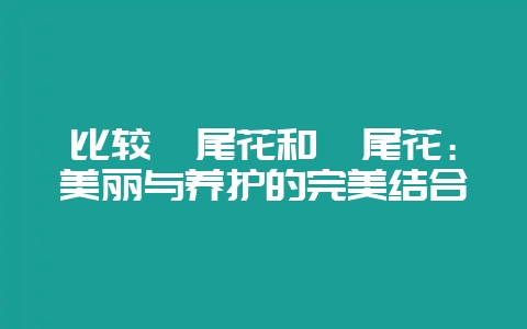 比较嫣尾花和鸢尾花：美丽与养护的完美结合-会东网