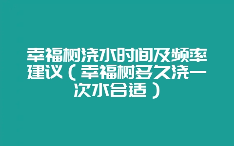 幸福树浇水时间及频率建议(幸福树多久浇一次水合适)-会东网